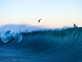 Paris-2024 : le site de surf en Polynésie ne fait pas l'unanimité