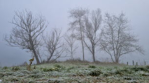 Temps sec, brumeux et froid ce jeudi en Saône-et-Loire
